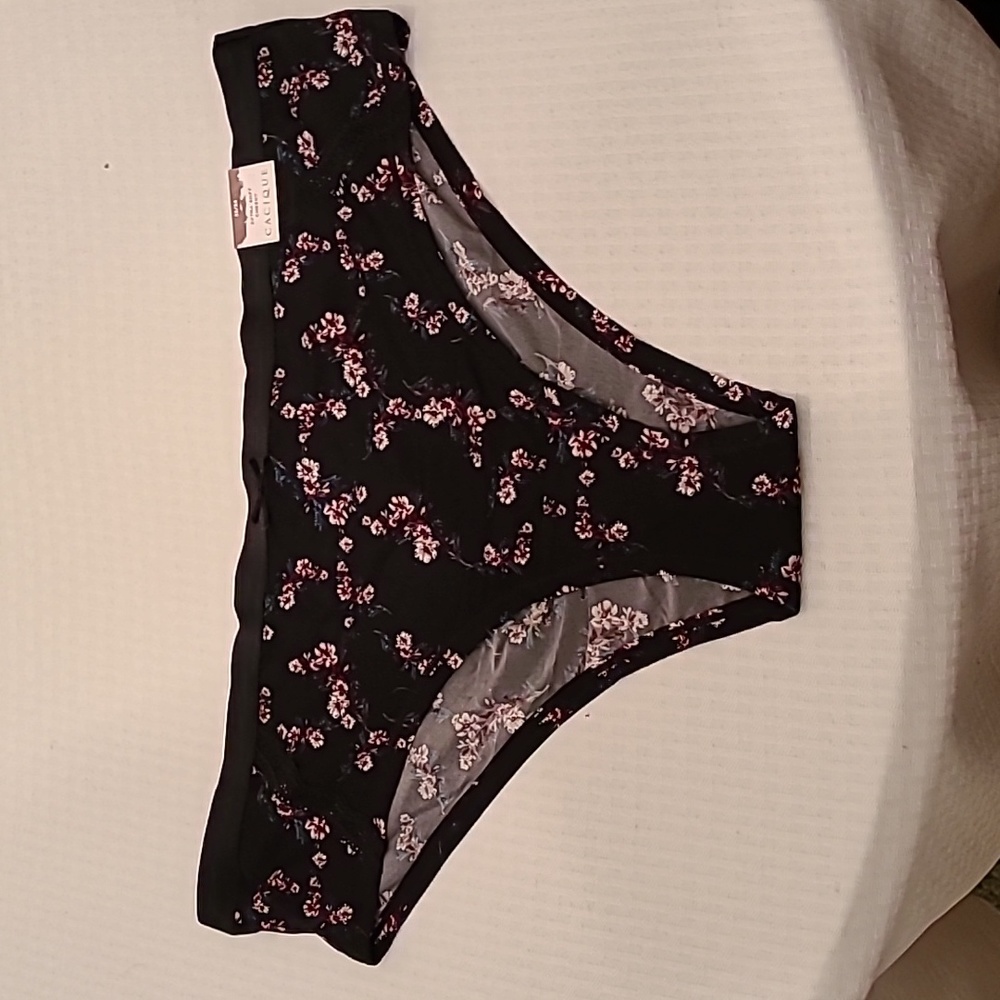 NWT Cacique Extra Soft Cheeky Panty